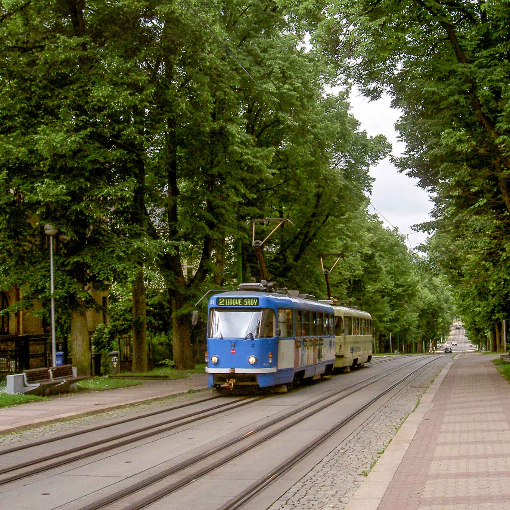 hledám singly Liberec